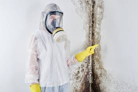 Best Asbestos and Lead Testing During Mold Inspection  in Hawthorne, NY